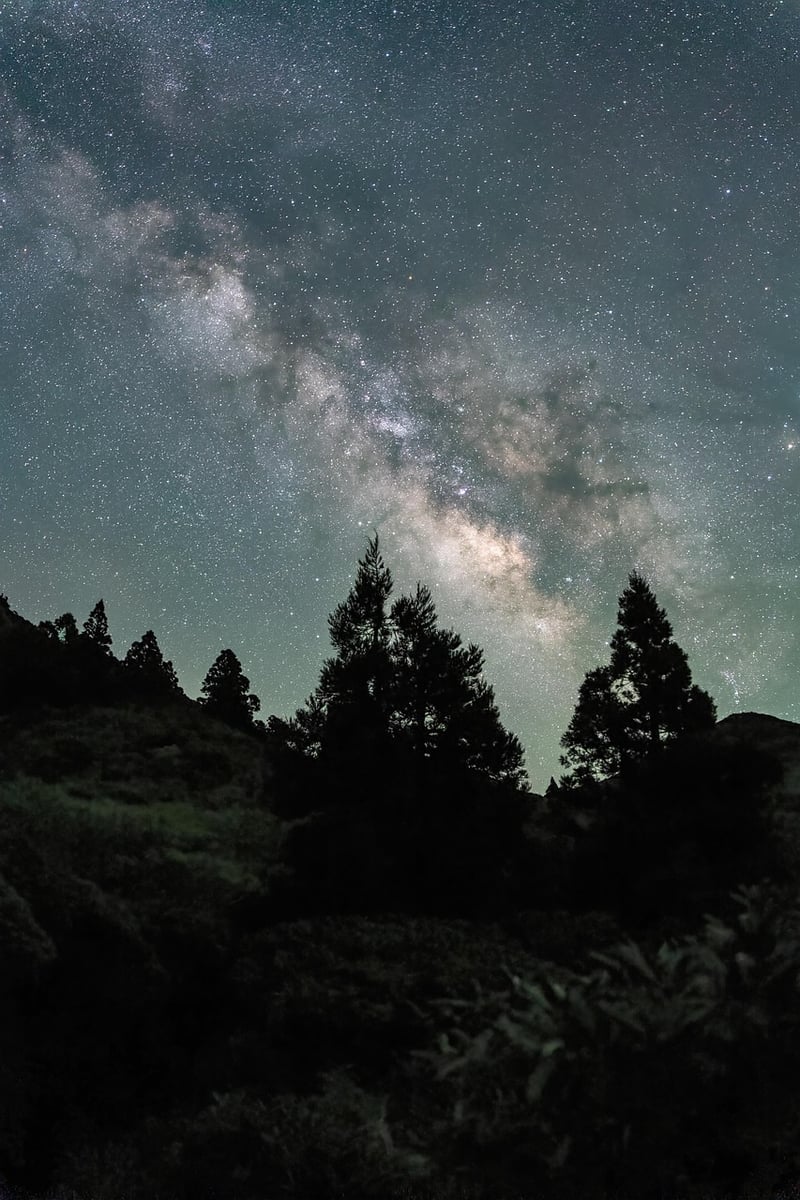Starry Sky Over Hollywood